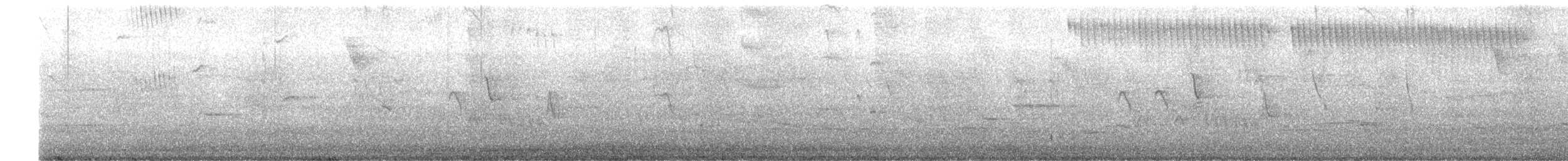 Gilded Hummingbird - ML646734288