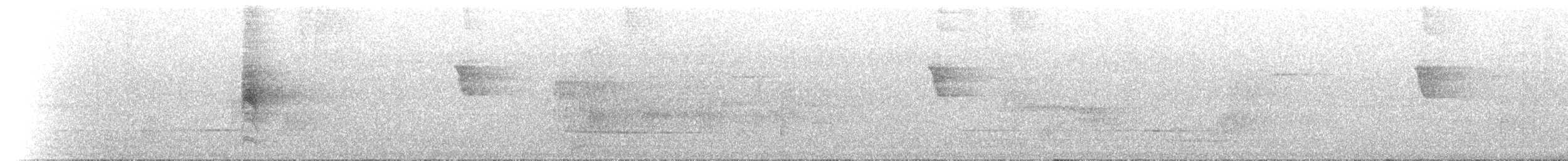 Australian Spectacled Monarch - ML646734369