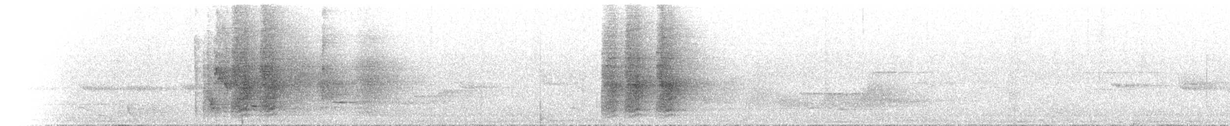 Spangled Drongo - ML646734387