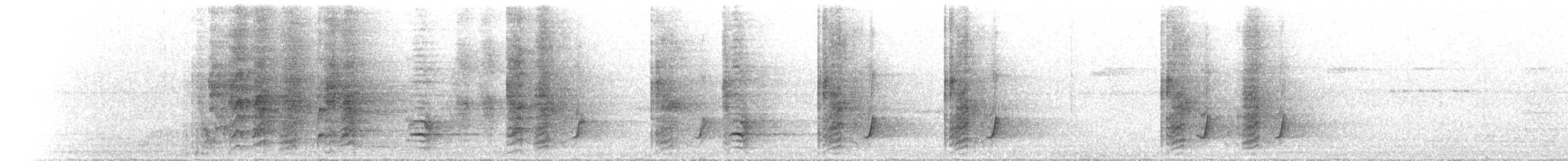 Tooth-billed Bowerbird - ML646734391