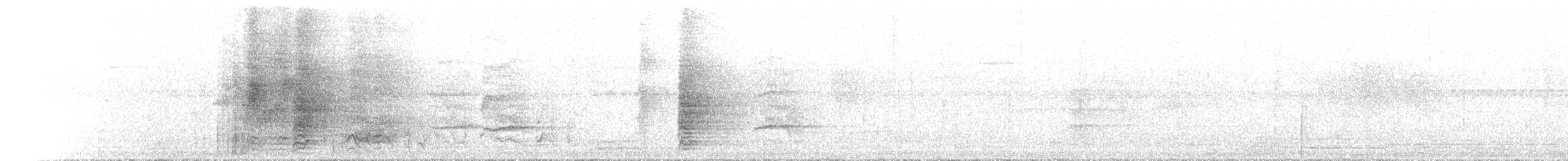 Tooth-billed Bowerbird - ML646734392