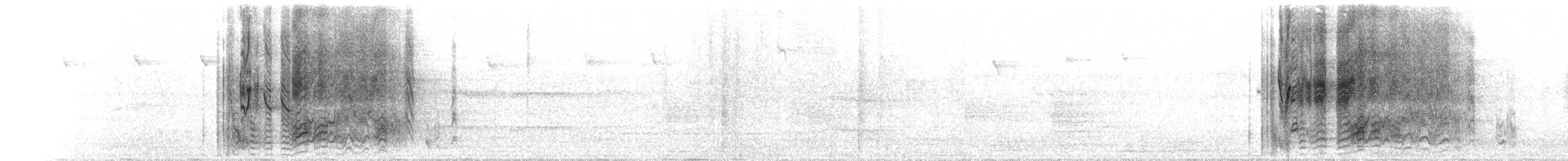 Tooth-billed Bowerbird - ML646734394