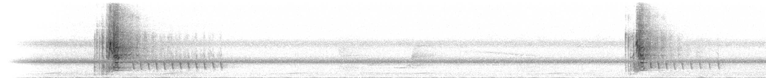 Tooth-billed Bowerbird - ML646734395