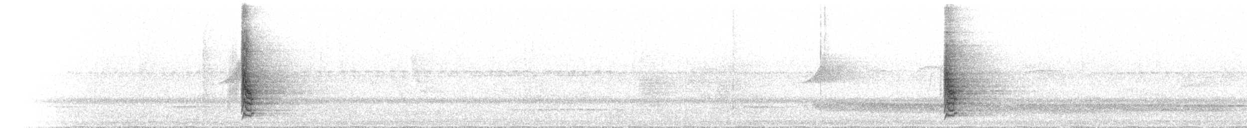 Tooth-billed Bowerbird - ML646734396