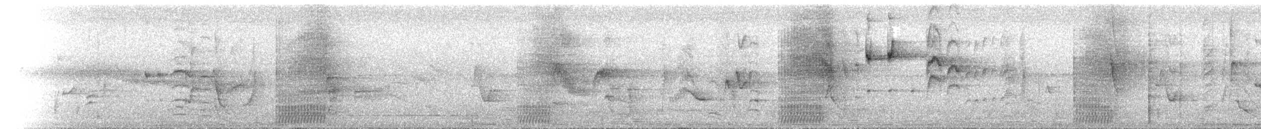 Tooth-billed Bowerbird - ML646734397