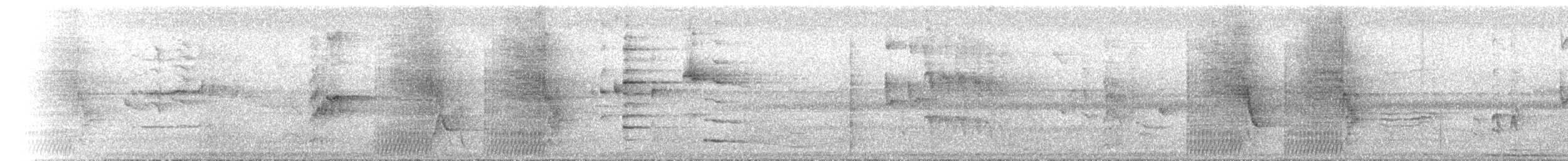 Tooth-billed Bowerbird - ML646734398