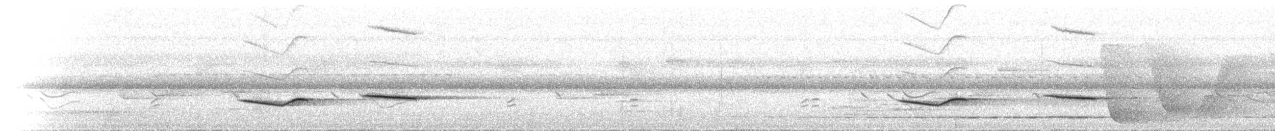 Gray-headed Robin - ML646734399