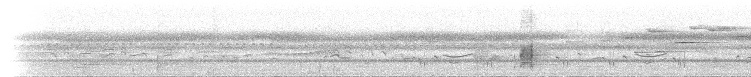 Gray-headed Robin - ML646734401