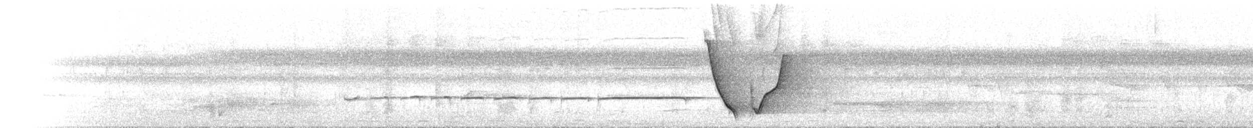 Eastern Whipbird - ML646734403