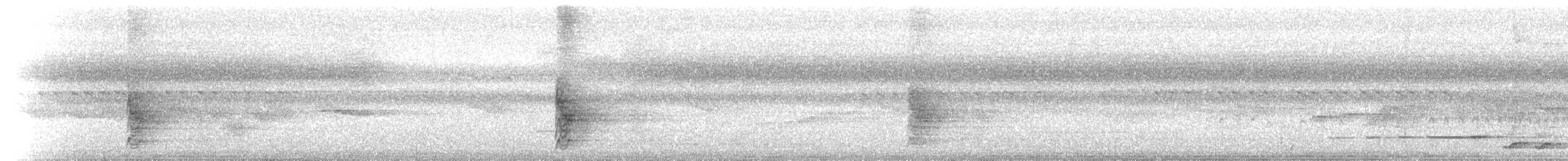 Bower's Shrikethrush - ML646734405