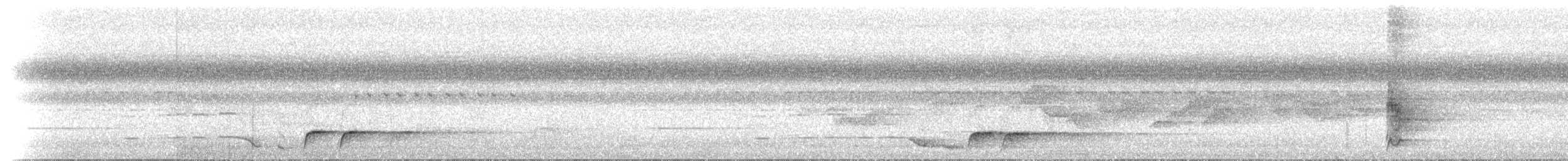 Bower's Shrikethrush - ML646734406