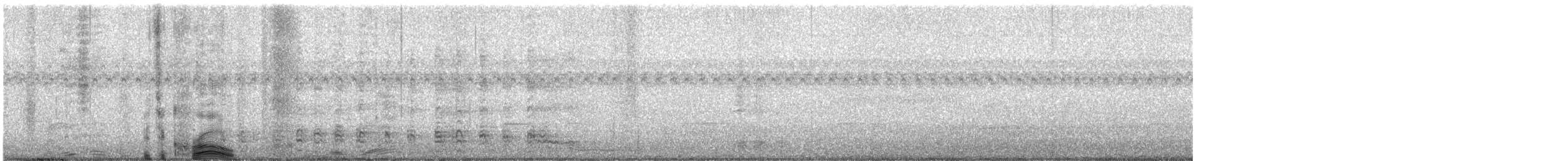 crow sp. - ML646734561