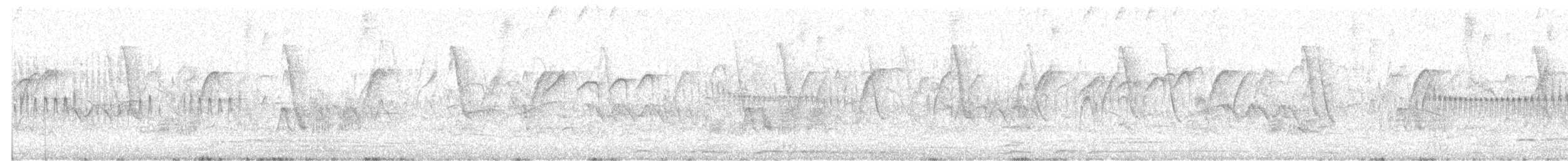 Short-billed Canastero - ML646734743