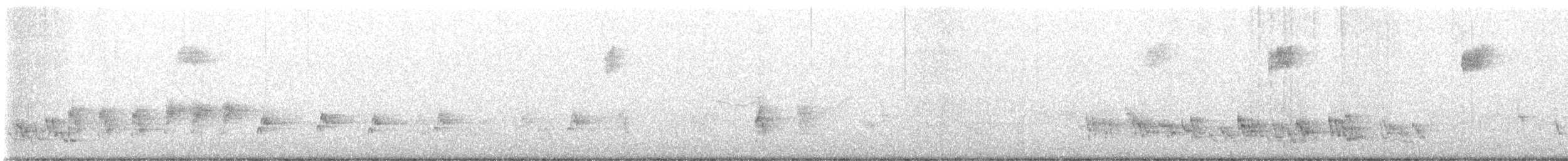 Turdus sp. - ML646734792