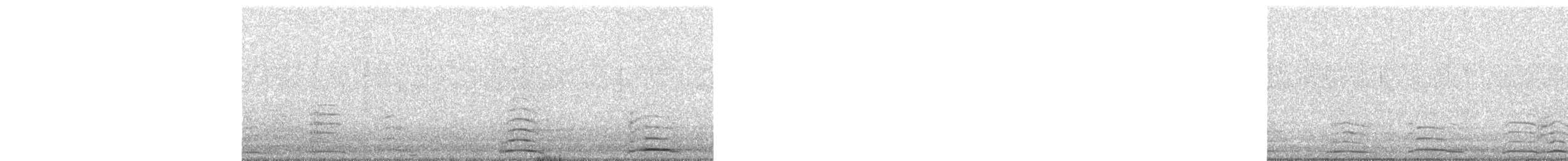 Tundra Swan - ML646735084