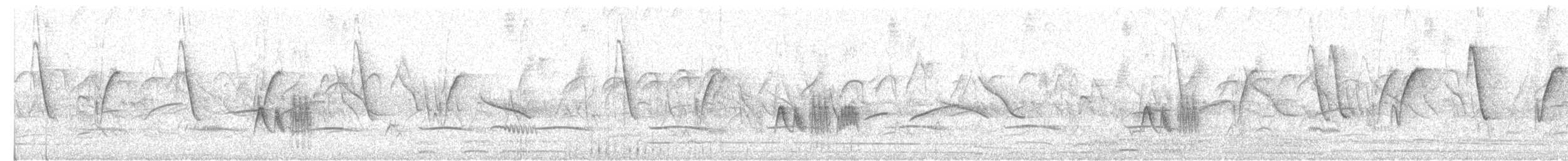 Small-billed Elaenia - ML646735090