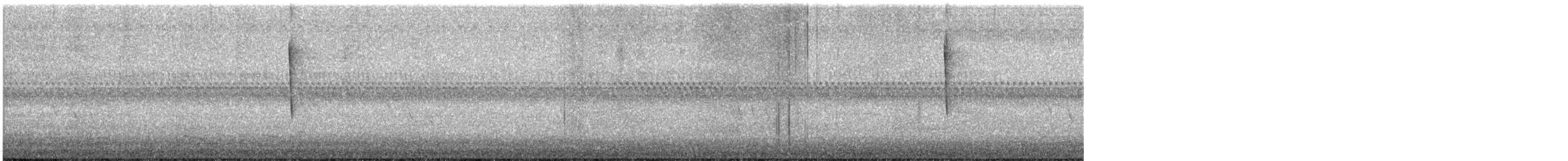 new world warbler sp. - ML646735098