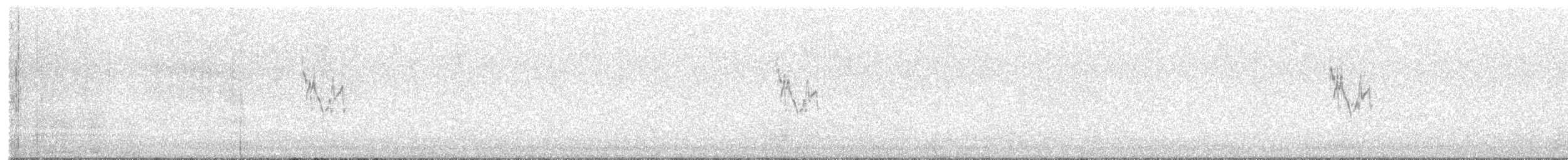 Bergeronnette grise - ML646735763