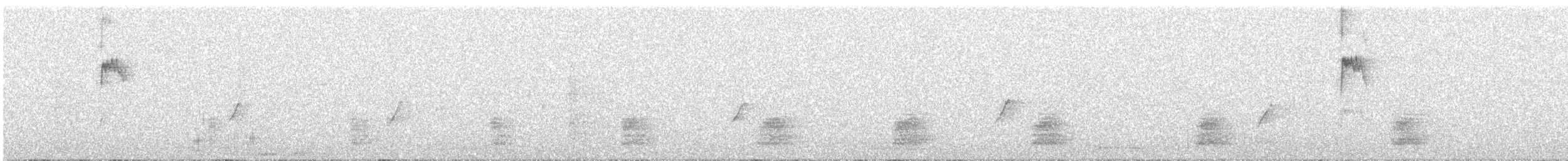 ビンズイ - ML646735824