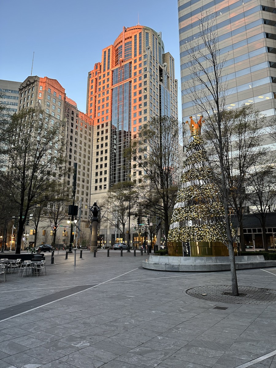 American Crow - ML646735891