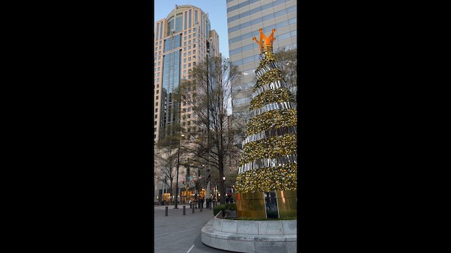 American Crow - ML646735929