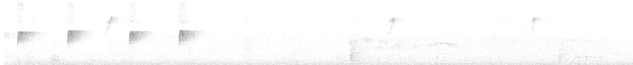 Spotted Tody-Flycatcher - ML646736138