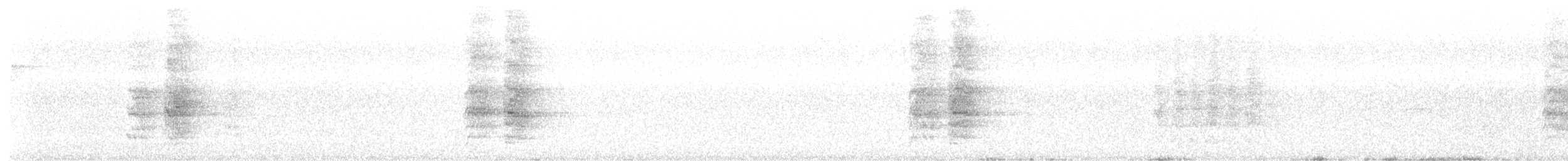 White-winged Parakeet - ML646736148