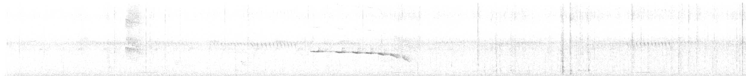 Chestnut-tailed Antbird - ML646736228