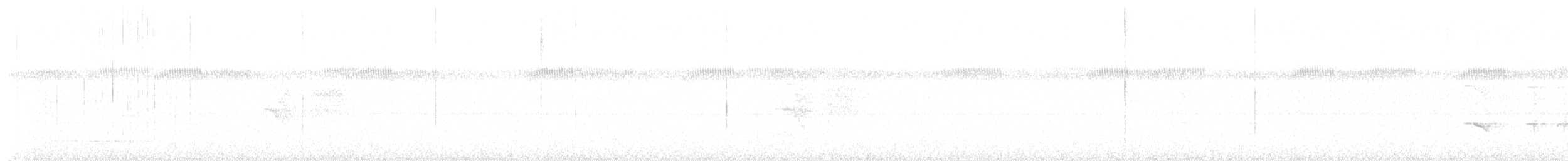 Spix's Warbling-Antbird - ML646736253