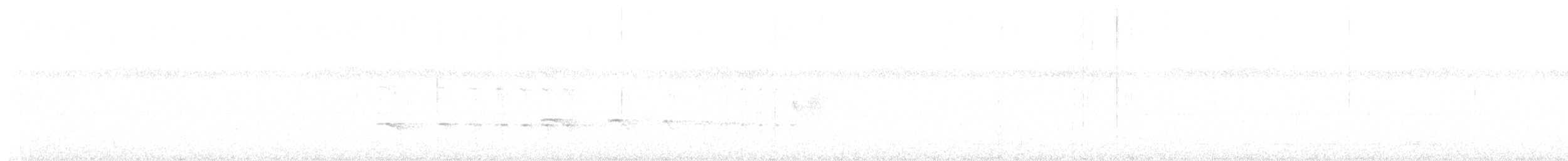 Spix's Warbling-Antbird - ML646736254