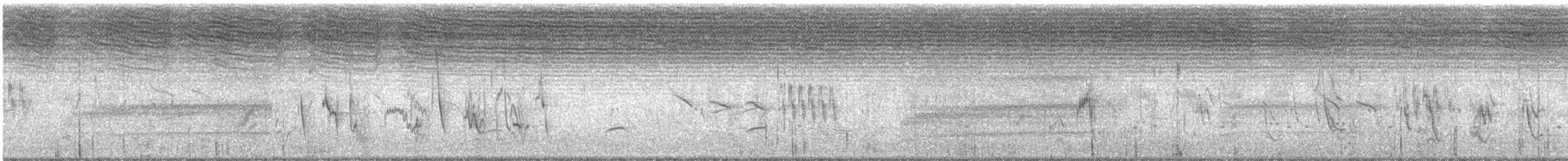 Élanion blanc - ML646736262