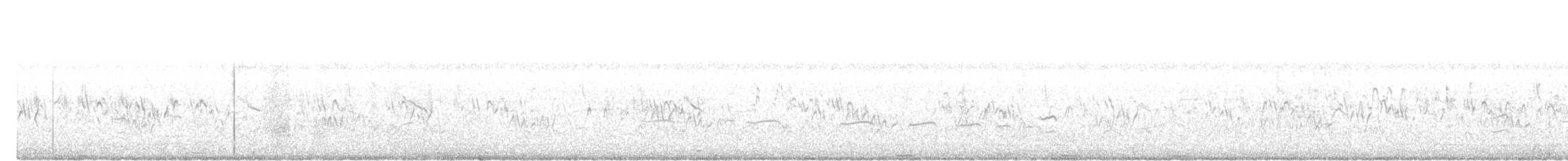 Coucou plaintif - ML646736313