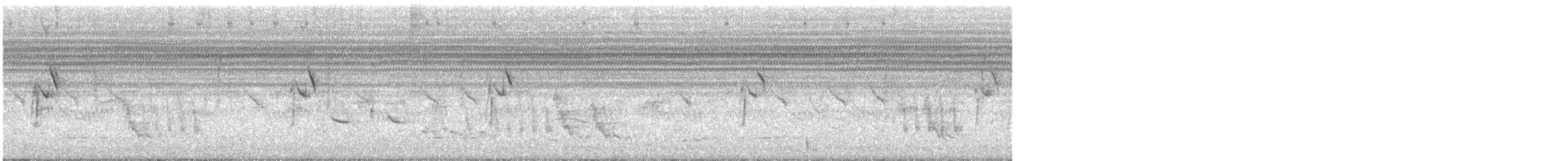 Bergeronnette du Cap - ML646736370