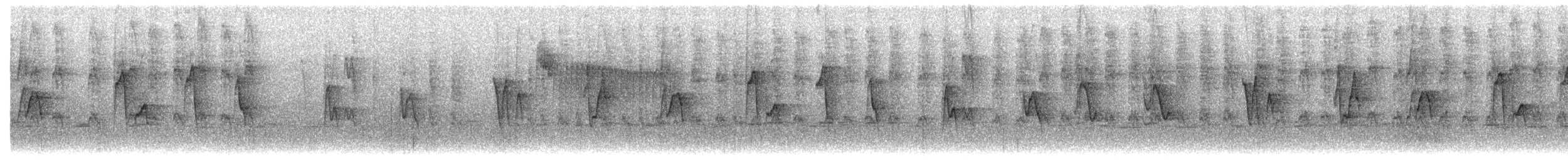 Сантамартийский певун - ML646736449