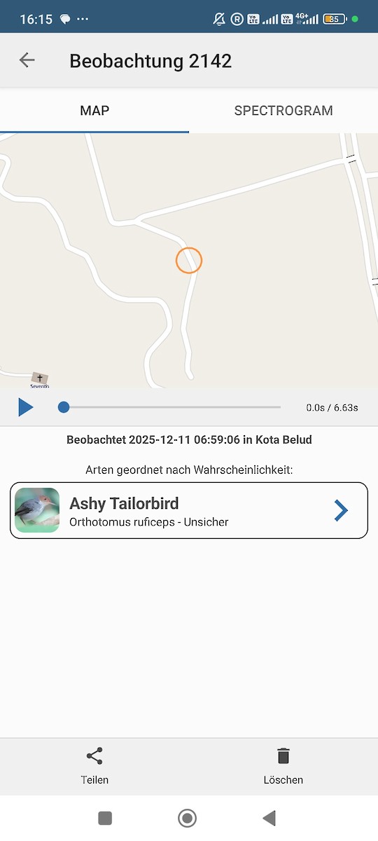 Кравчик рудощокий - ML646736680