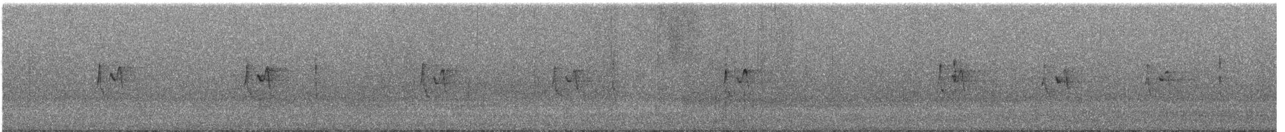 עלווית לבנת-גבות - ML646737455