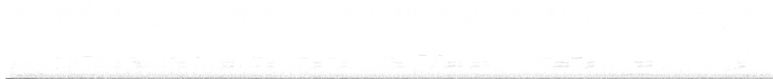 snadderand - ML646737791