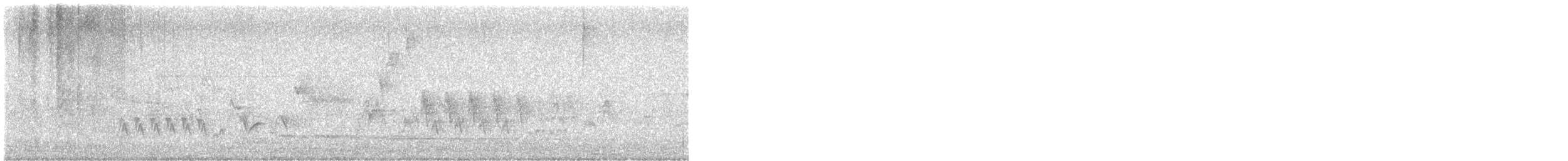 Southern House Wren - ML646737866