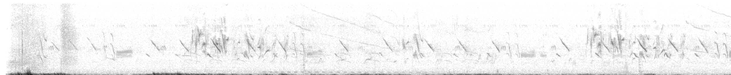 Parasitic Weaver - ML646737968