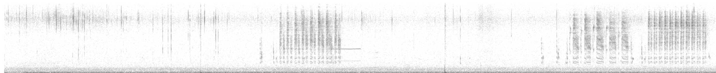 Troglodyte des marais (groupe plesius) - ML646738112