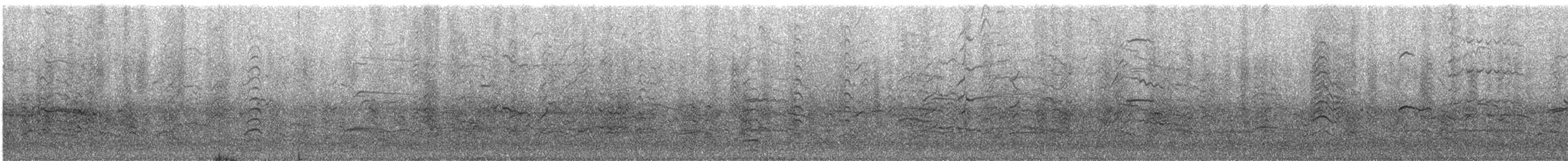 racek vnitrozemský - ML646738203