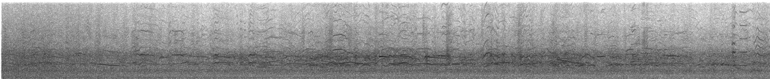 racek vnitrozemský - ML646738204