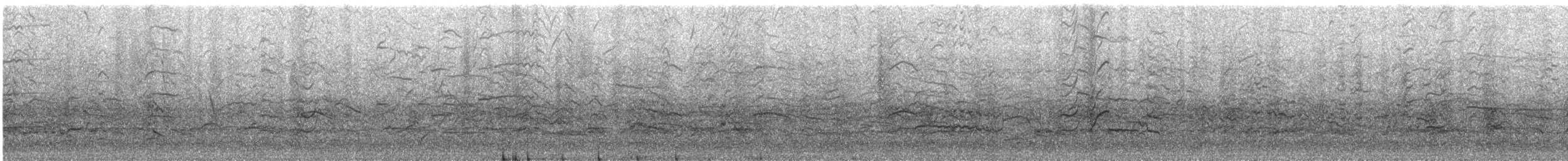 racek vnitrozemský - ML646738205