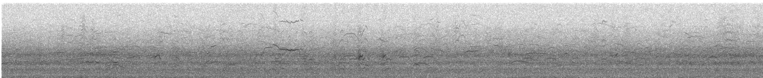 Great-tailed Grackle - ML646738290