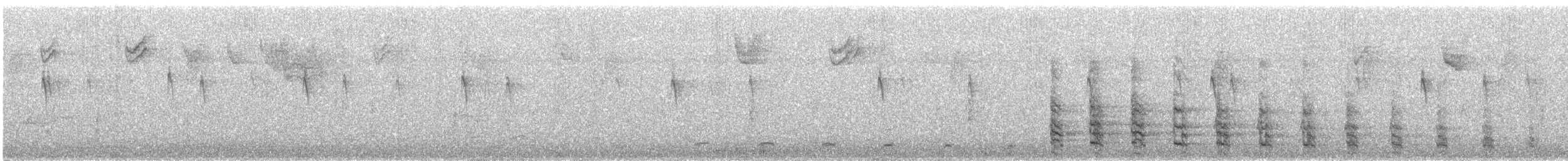 King Rail - ML646738325