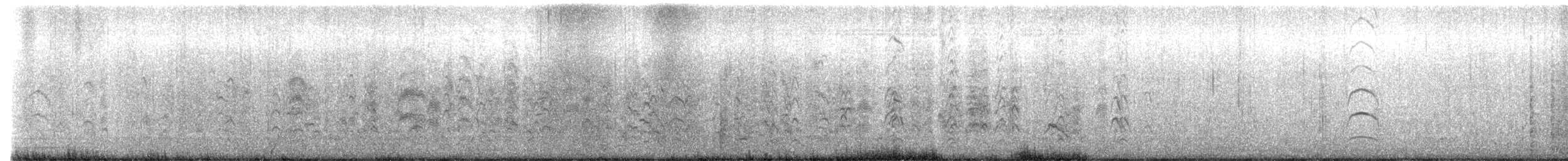 Bonaparte's Gull - ML646738925