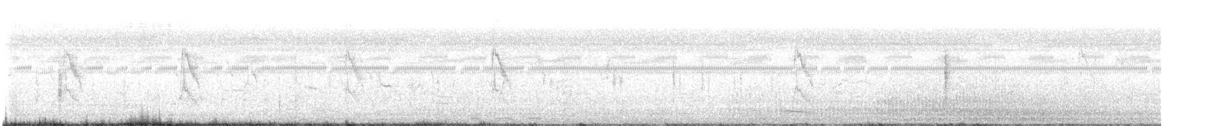 pipit sp. - ML646738941