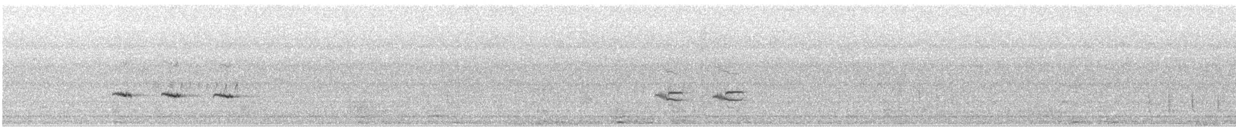 Mirlo Capiblanco (del Cáucaso) - ML646738973