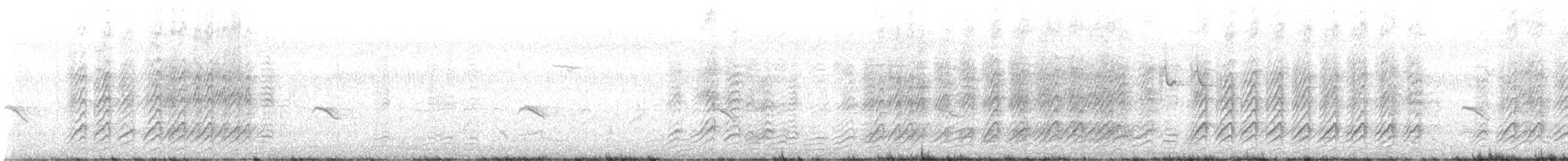 Large Gray Babbler - ML646739139