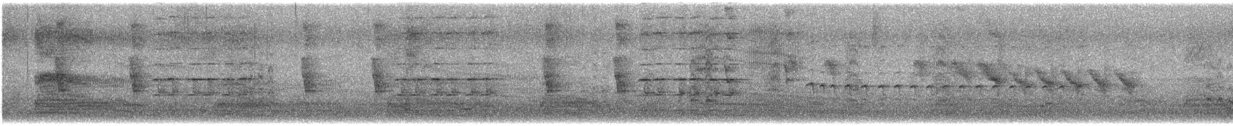 North Island Saddleback - ML646739186